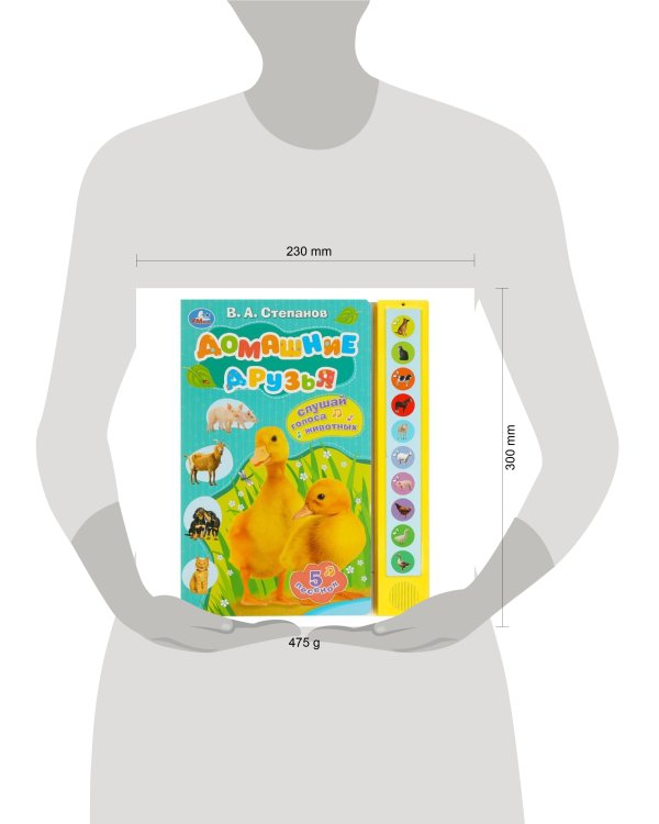 Домашние друзья Степанов В.А. (10 зв. кнопок) 233х302мм 10стр Умка в кор.24шт