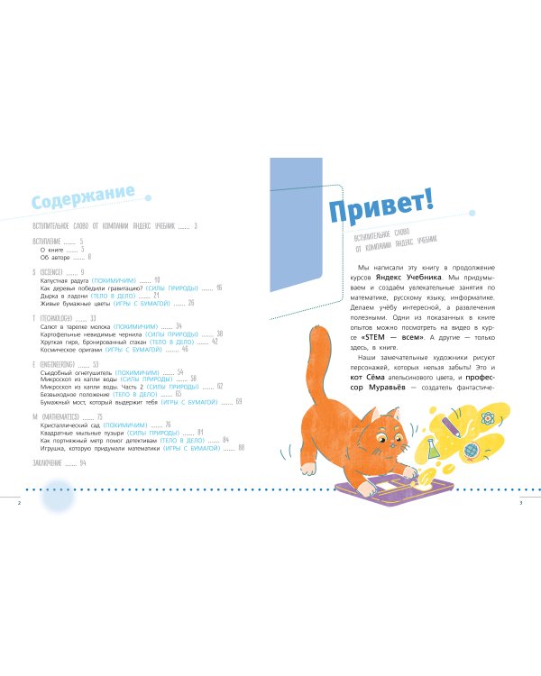 Энциклопедия занимательных наук, химических опытов и математических игр. STEM