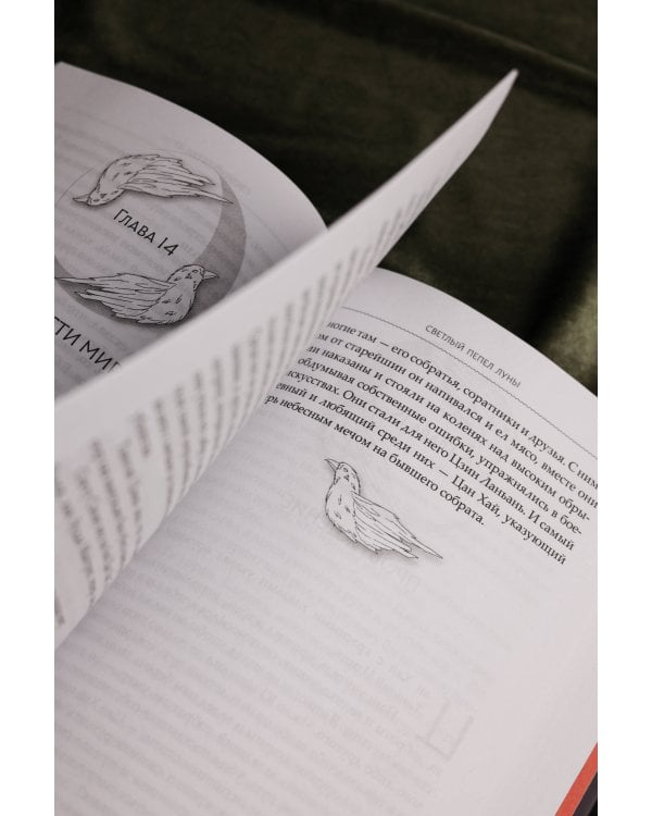 Светлый пепел луны. Книга 4