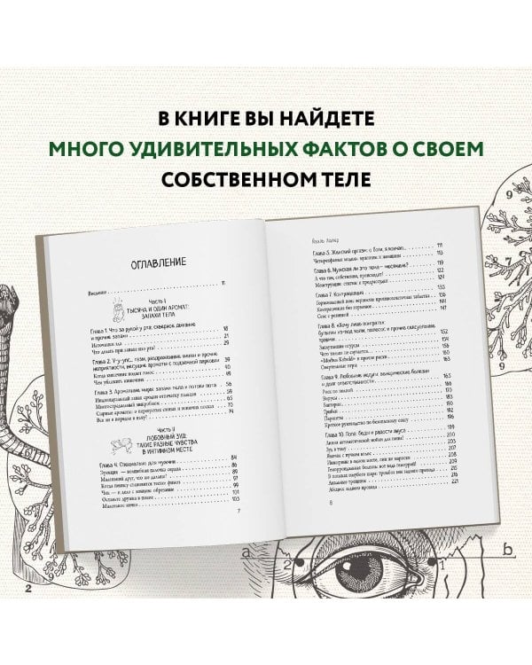 Человек Противный. Зачем нашему безупречному телу столько несовершенств