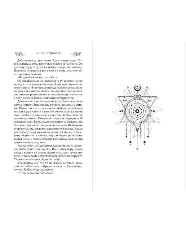 Вороновый круг. Король воронов (#4) (подарочное оформление)