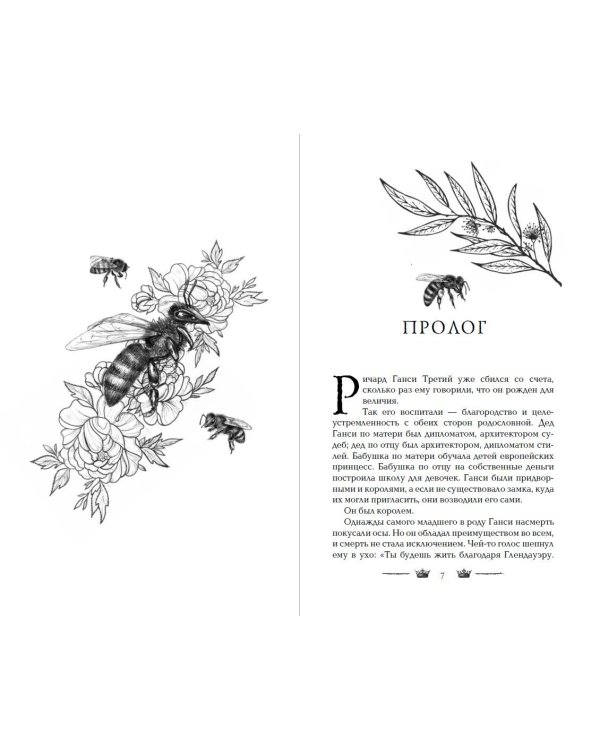 Вороновый круг. Король воронов (#4) (подарочное оформление)