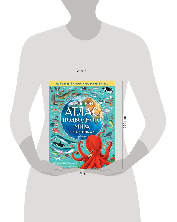 Большой атлас подводного мира в картинках