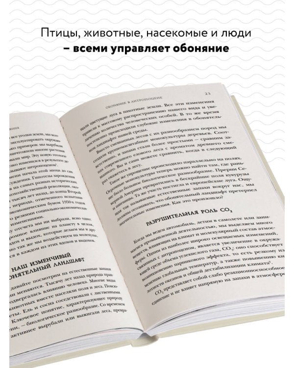 Тайная сила обоняния. Доверься носу. Иди за инстинктами