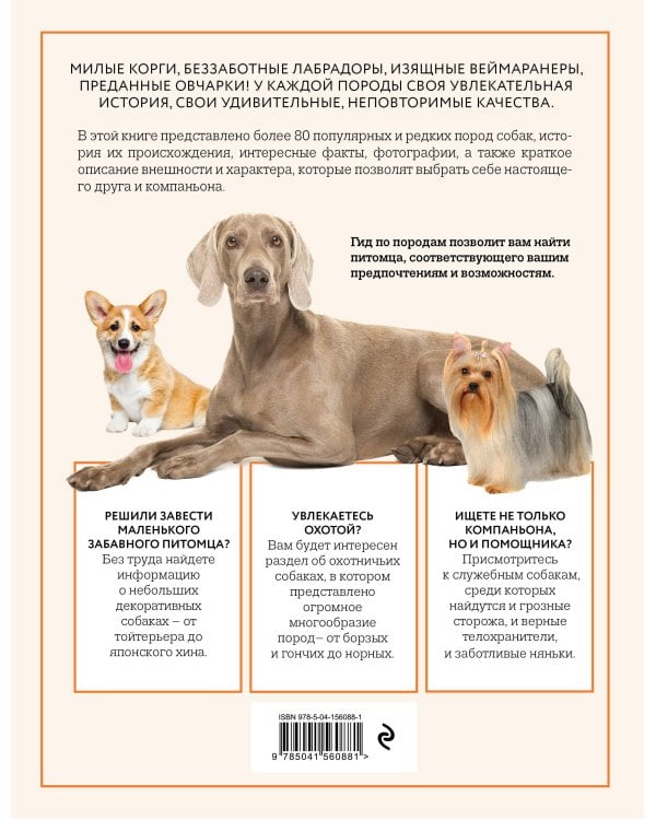 Собаки. Иллюстрированный гид по самым популярным породам