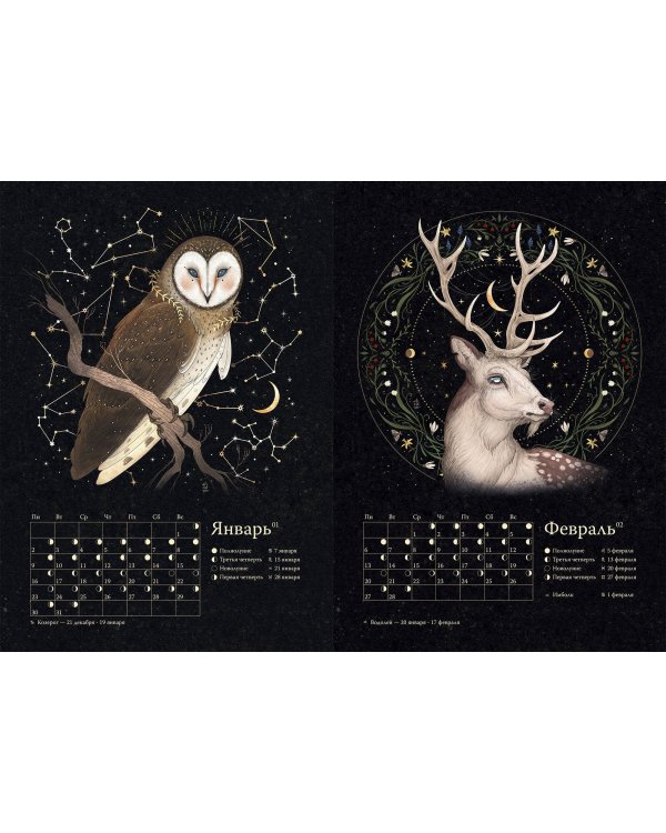Календарь до 2025 года. Легенды Тёмного Леса. Лиса