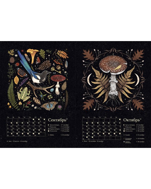 Календарь до 2025 года. Легенды Тёмного Леса. Лиса