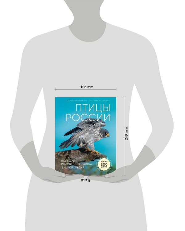 Птицы России. Большая иллюстрированная энциклопедия
