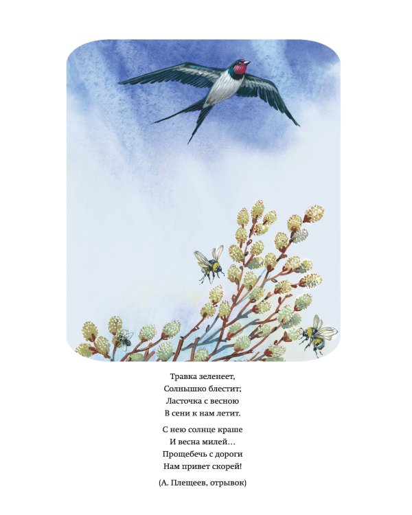 Край ты мой родной: стихи русских поэтов (ил. В. Канивца)