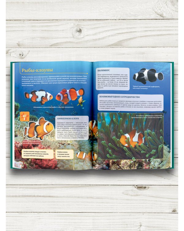 Подводный мир