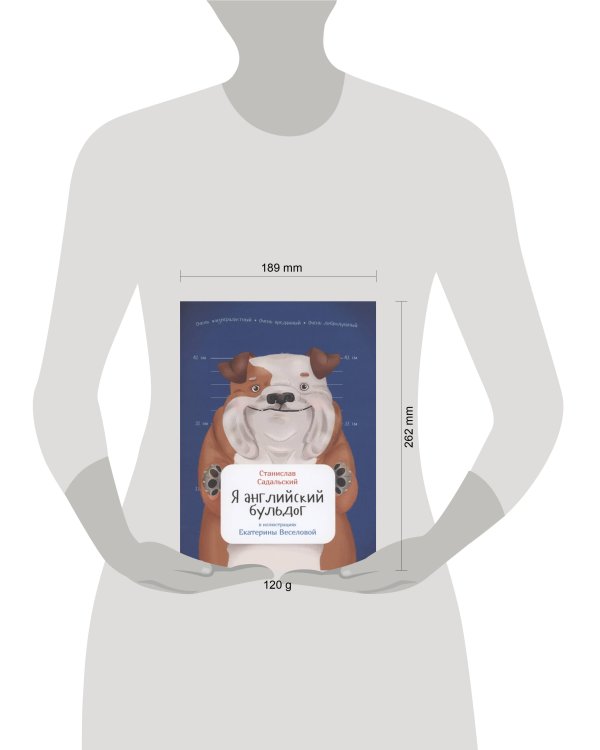 Я английский бульдог