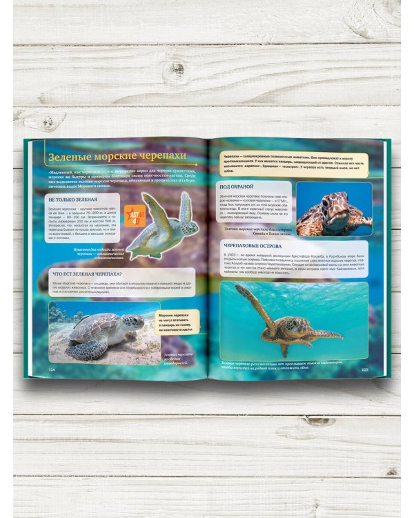 Подводный мир