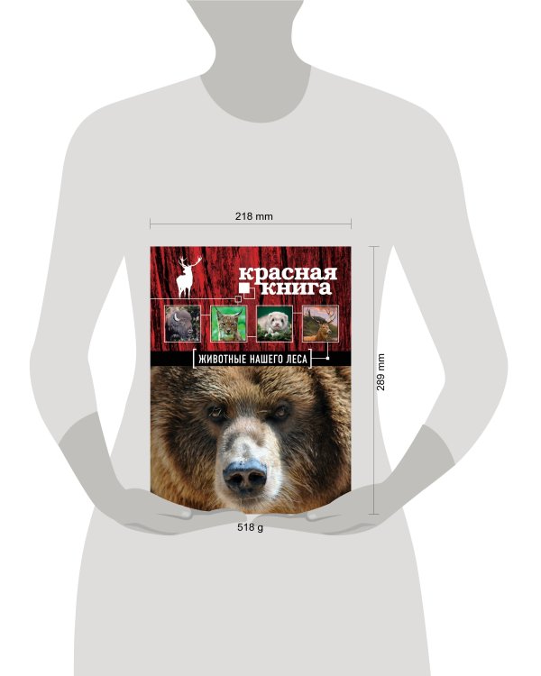 Красная книга. Животные нашего леса (ПР)