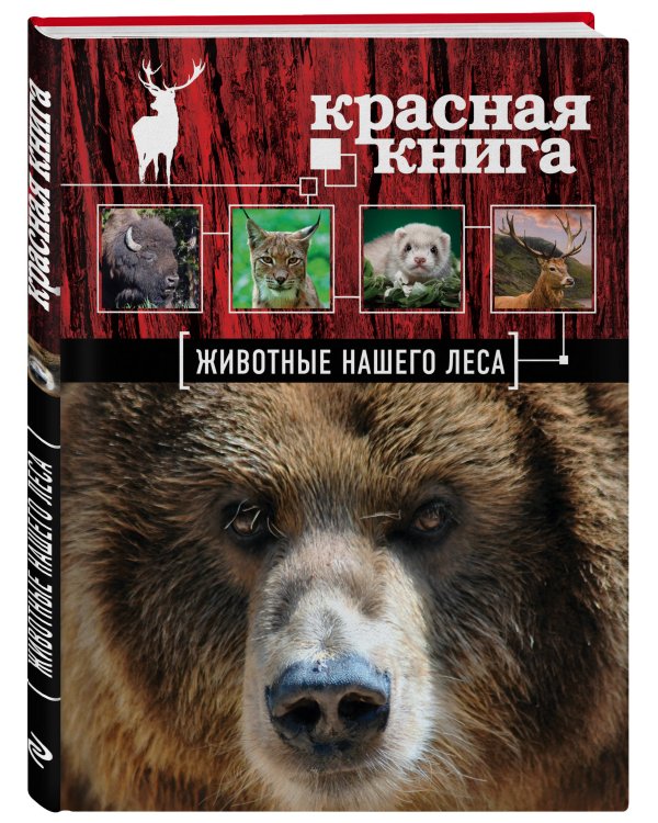 Красная книга. Животные нашего леса (ПР)