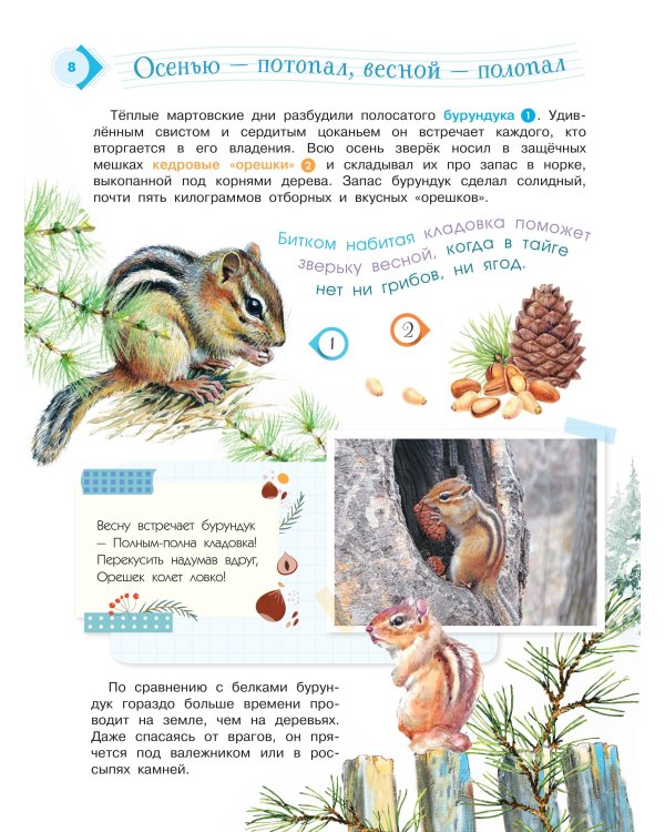 Энциклопедия для мальчиков и девочек. Наша природа