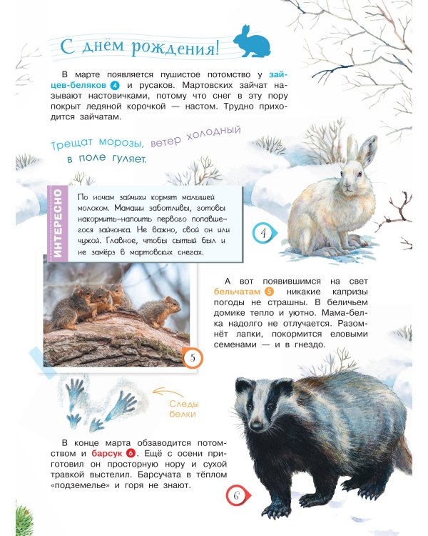 Энциклопедия для мальчиков и девочек. Наша природа