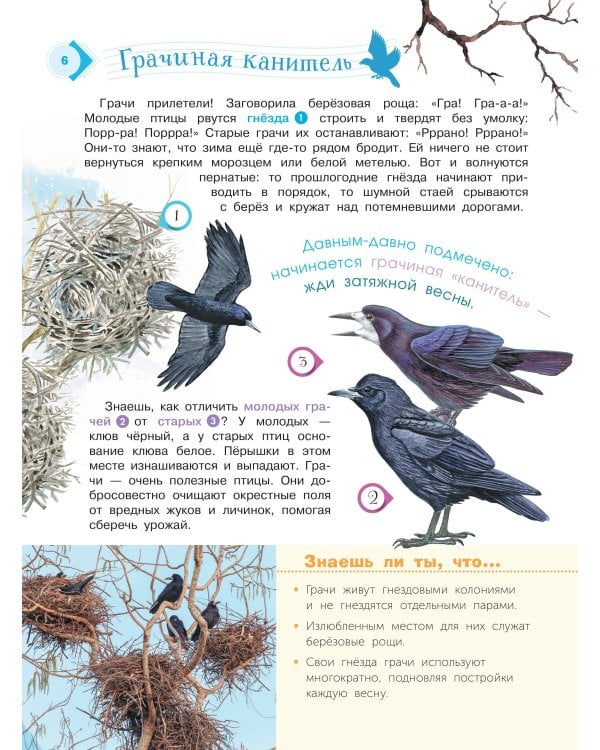 Энциклопедия для мальчиков и девочек. Наша природа