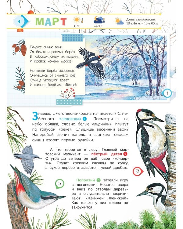 Энциклопедия для мальчиков и девочек. Наша природа