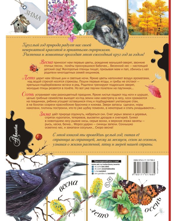 Энциклопедия для мальчиков и девочек. Наша природа