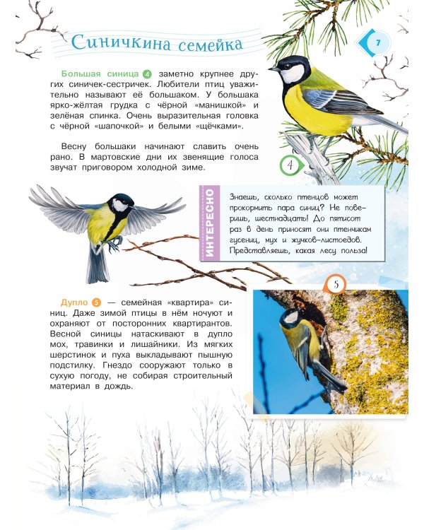 Энциклопедия для мальчиков и девочек. Наша природа