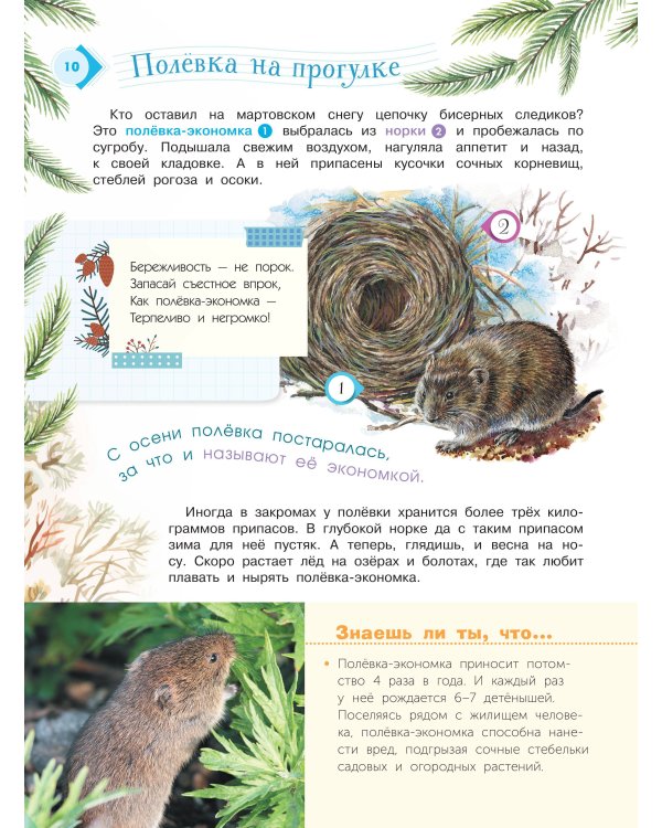 Энциклопедия для мальчиков и девочек. Наша природа