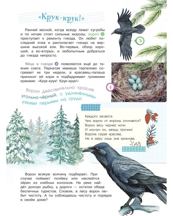 Энциклопедия для мальчиков и девочек. Наша природа