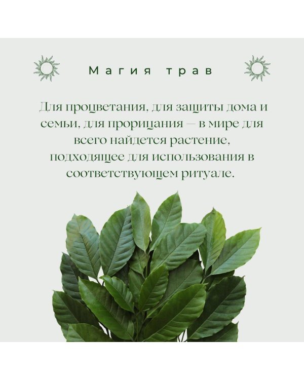 Магия трав. Древние практики исцеления травами