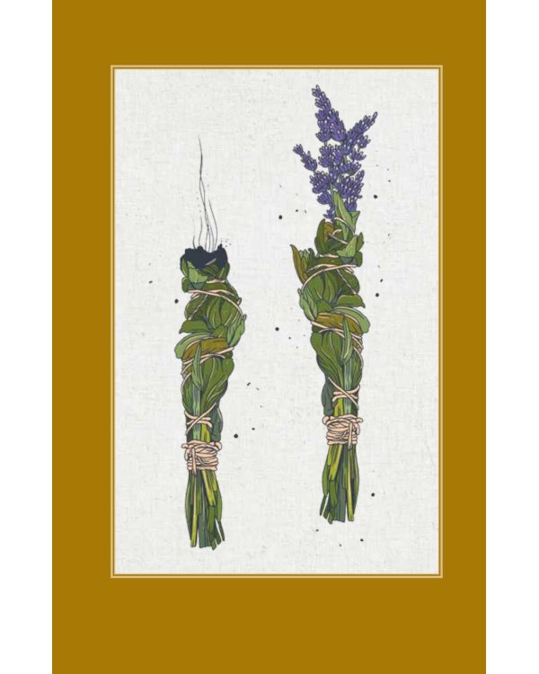 Магия трав. Древние практики исцеления травами