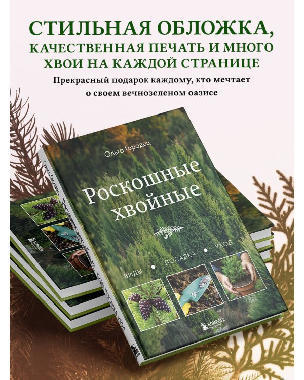 Роскошные хвойные. Виды, посадка, уход