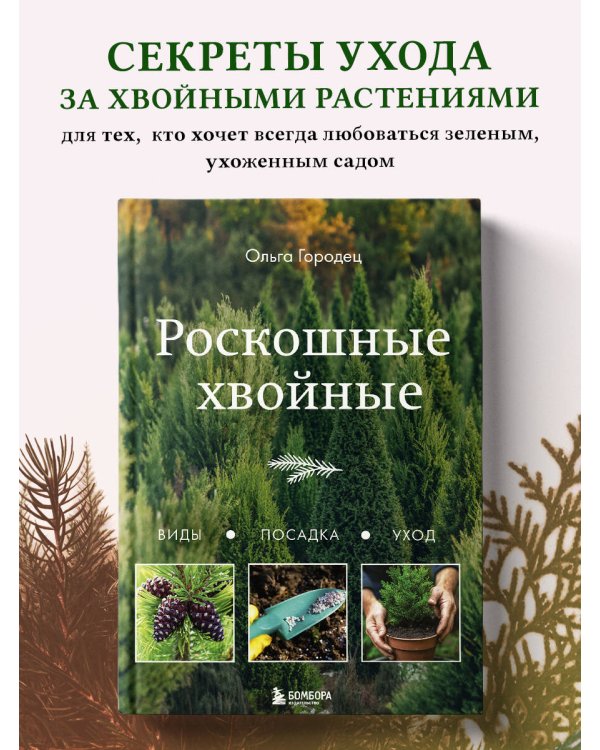 Роскошные хвойные. Виды, посадка, уход