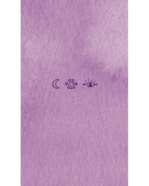 Комплект: Cat Tarot. Таро Котиков (78 карт и руководство в подарочном футляре) + Таро-раскраска Сказочные котики