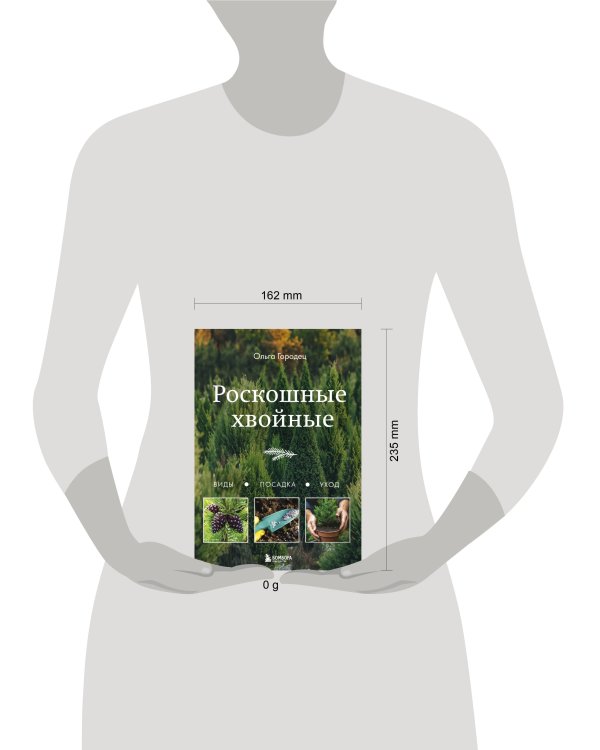 Роскошные хвойные. Виды, посадка, уход