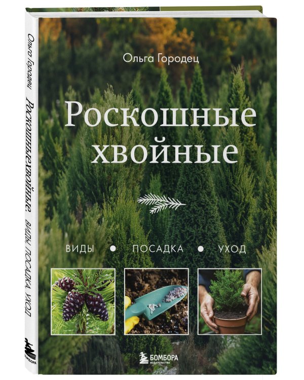 Роскошные хвойные. Виды, посадка, уход