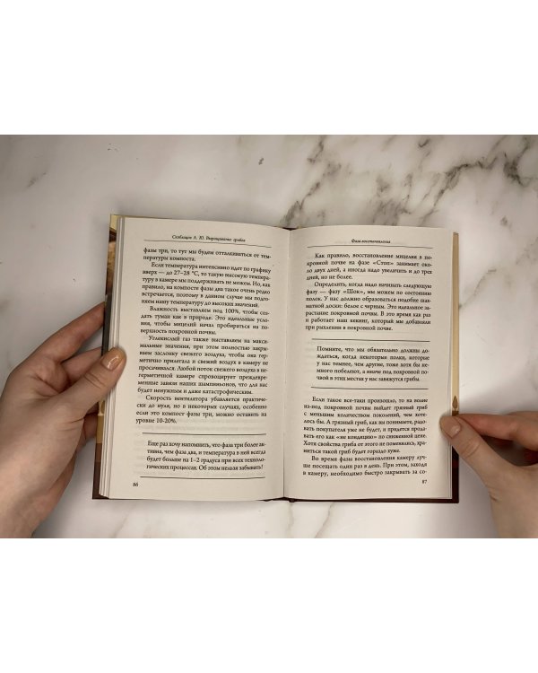 Выращивание грибов. Мини-бизнес с нуля