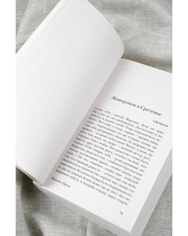 Николка Персик. Аня в Стране чудес