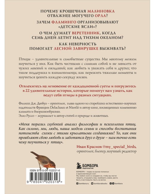 Удивительная философия птиц. Как ласточки относятся к смерти, горлицы сохраняют романтику в отношениях, а утки спасаются от стресса