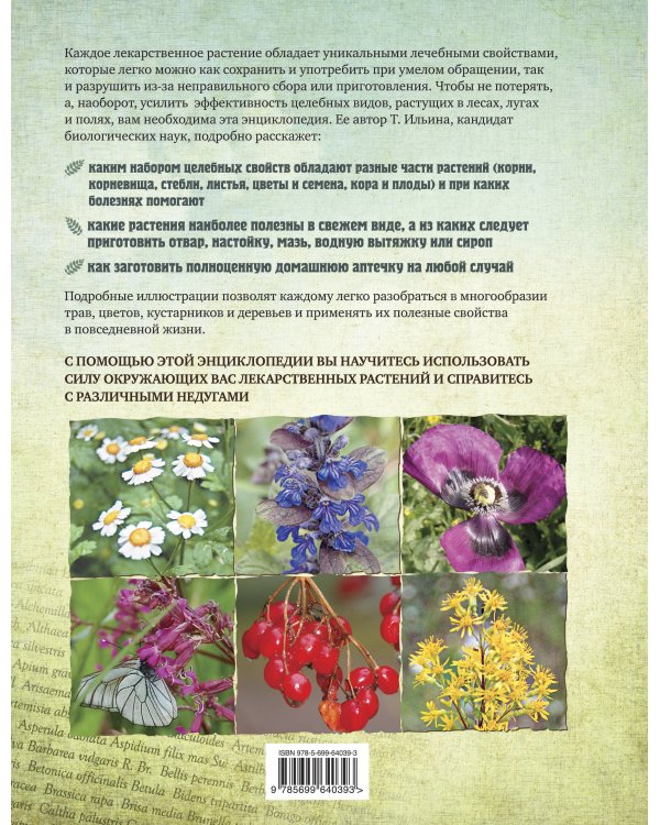 Лекарственные растения. Большая иллюстрированная энциклопедия