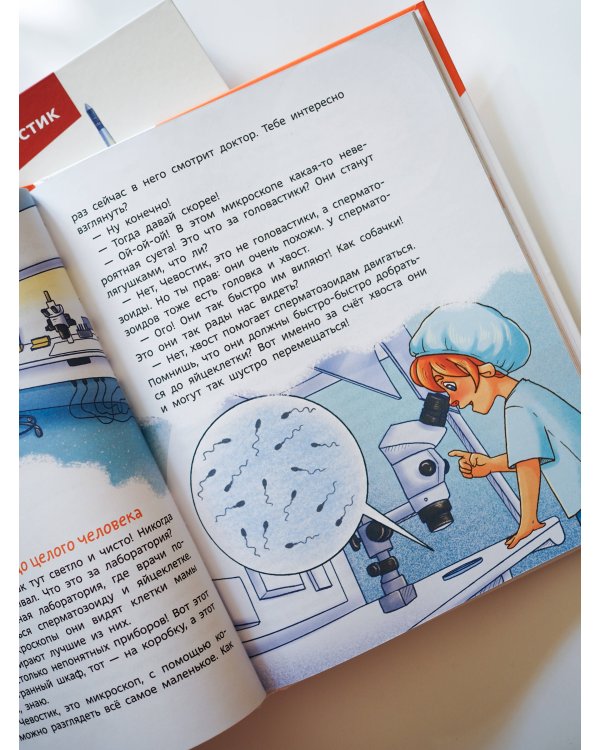 Откуда берутся дети. Детская энциклопедия (Чевостик)