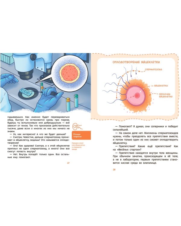 Откуда берутся дети. Детская энциклопедия (Чевостик)