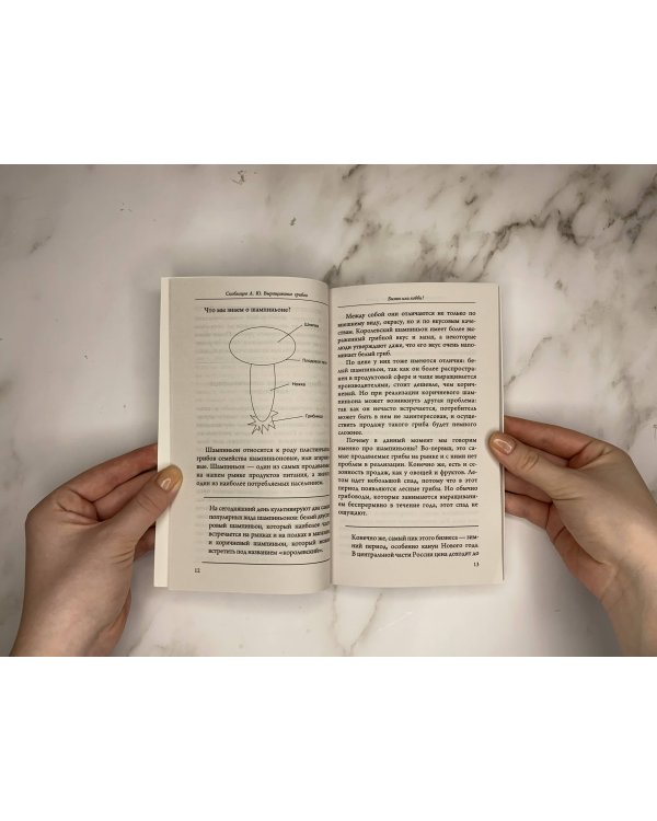 Выращивание грибов. Мини-бизнес с нуля