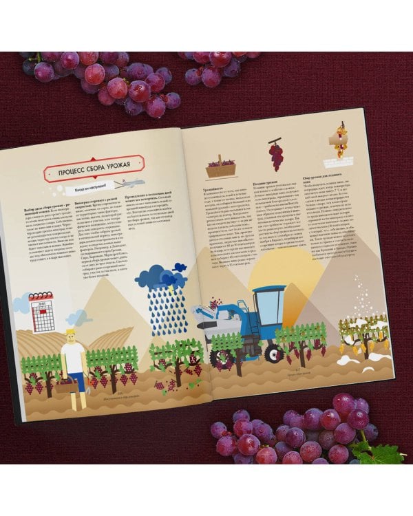 Вино. Иллюстрированный курс