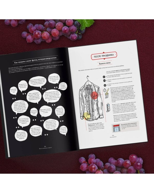 Вино. Иллюстрированный курс