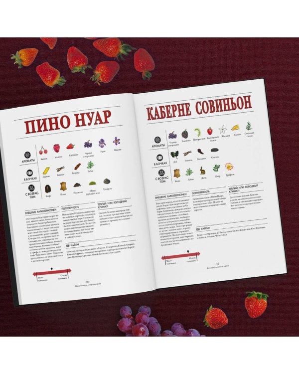 Вино. Иллюстрированный курс