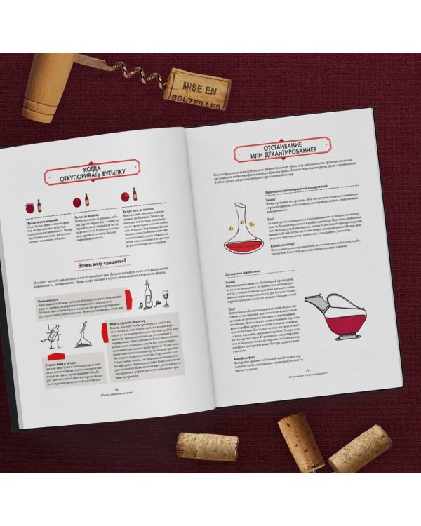 Вино. Иллюстрированный курс