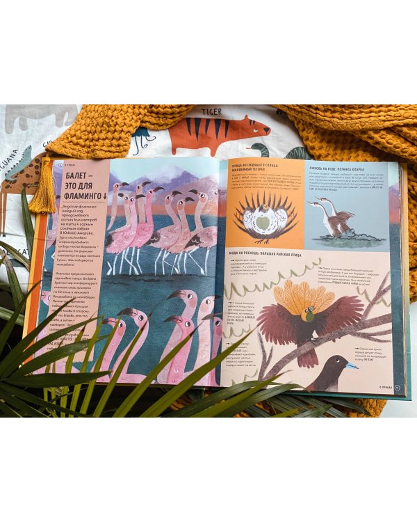 О чем рычит тигр? Как общаются животные в дикой природе