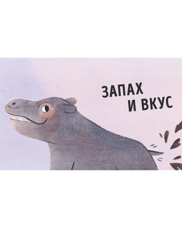 О чем рычит тигр? Как общаются животные в дикой природе