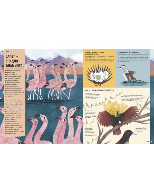 О чем рычит тигр? Как общаются животные в дикой природе