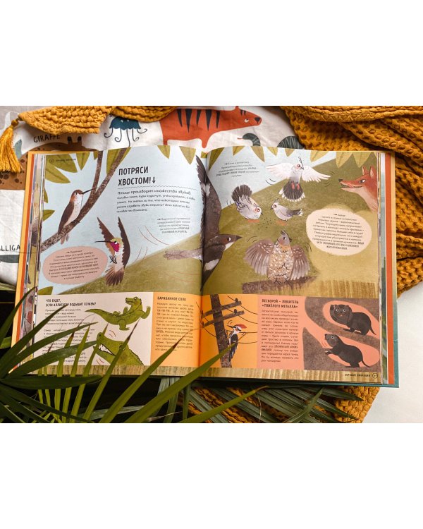 О чем рычит тигр? Как общаются животные в дикой природе