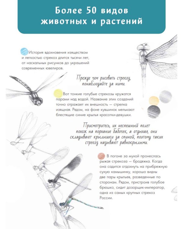 Жизнь пруда