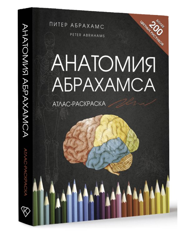 Анатомия Абрахамса. Атлас-раскраска